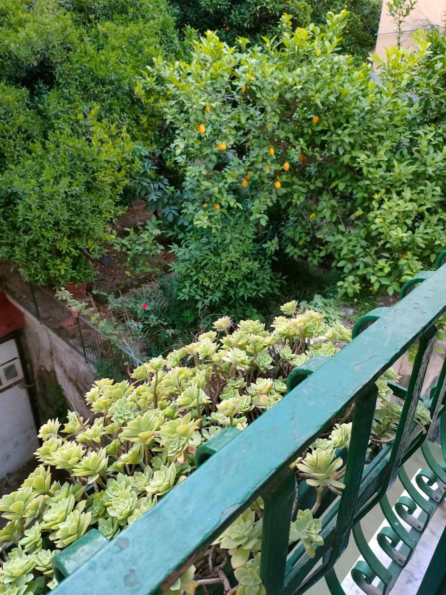 Bed & Breakfast A Casa Di Freddie